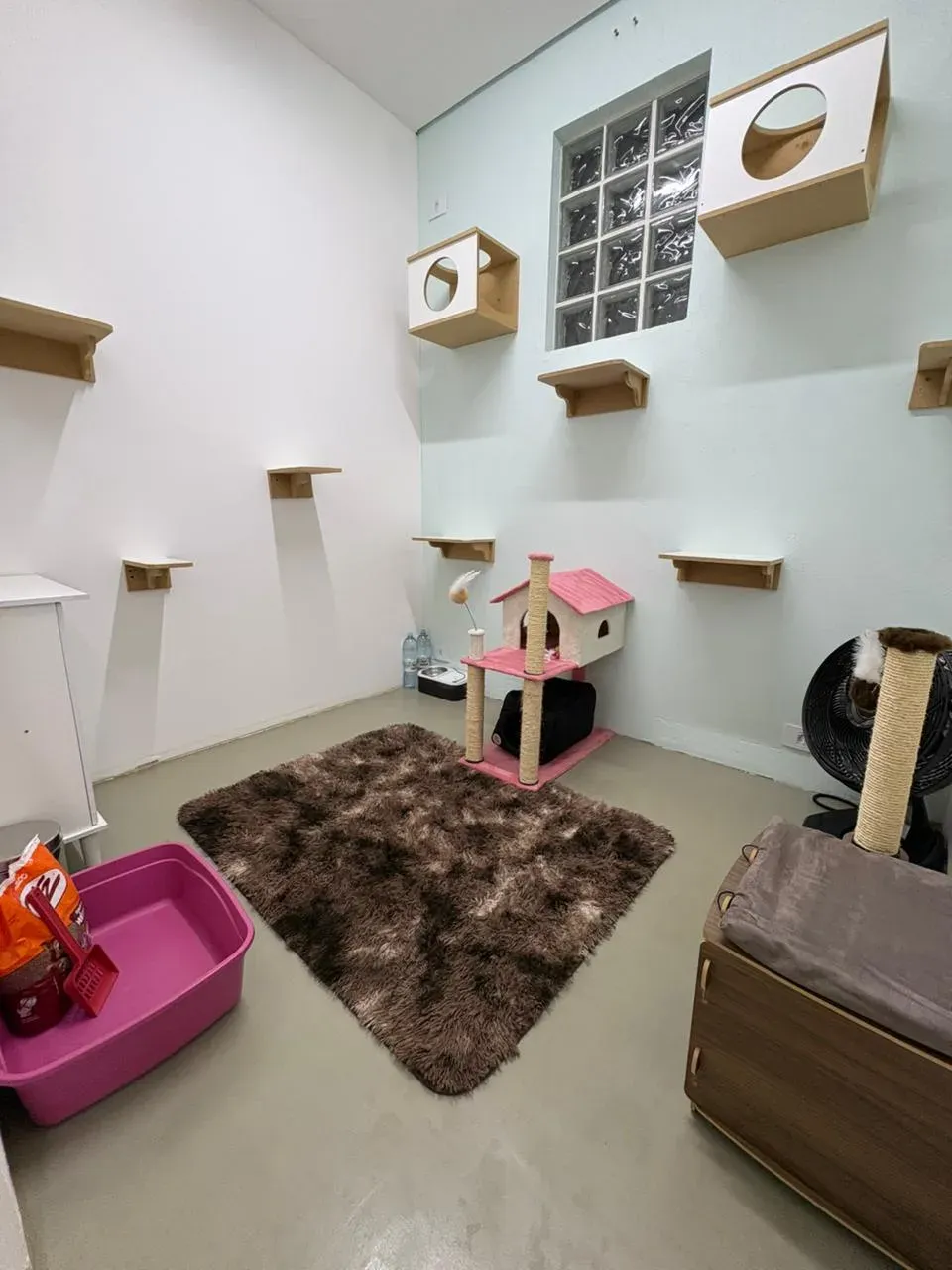 Vista do Quarto Luna no Cat Resort