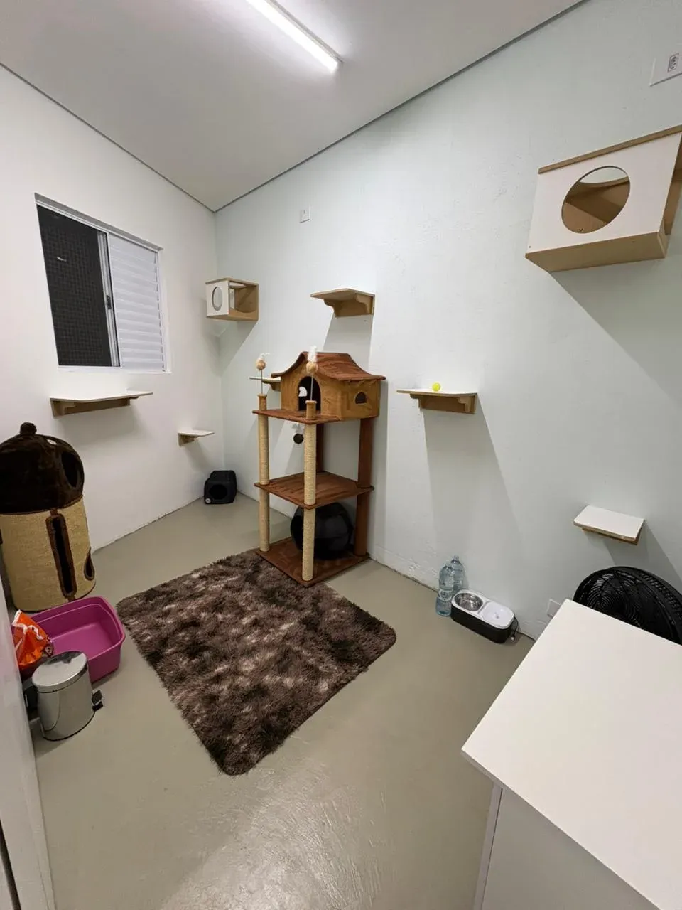 Vista do Quarto Ayla no Cat Resort