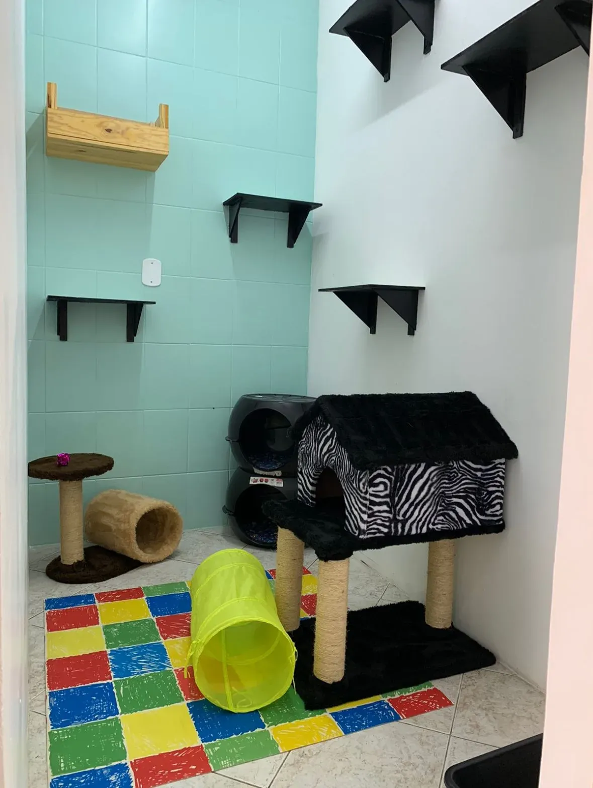 Vista do Quarto Maya no Cat Resort